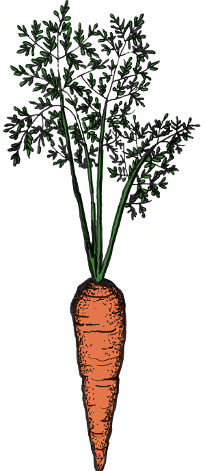 Ruben's Veggies Carrot